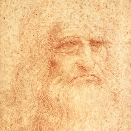 Poznámkový kalendář Leonardo da Vinci 2026 - nástěnný kalendář