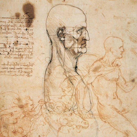 Poznámkový kalendář Leonardo da Vinci 2026 - nástěnný kalendář