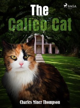 The Calico Cat