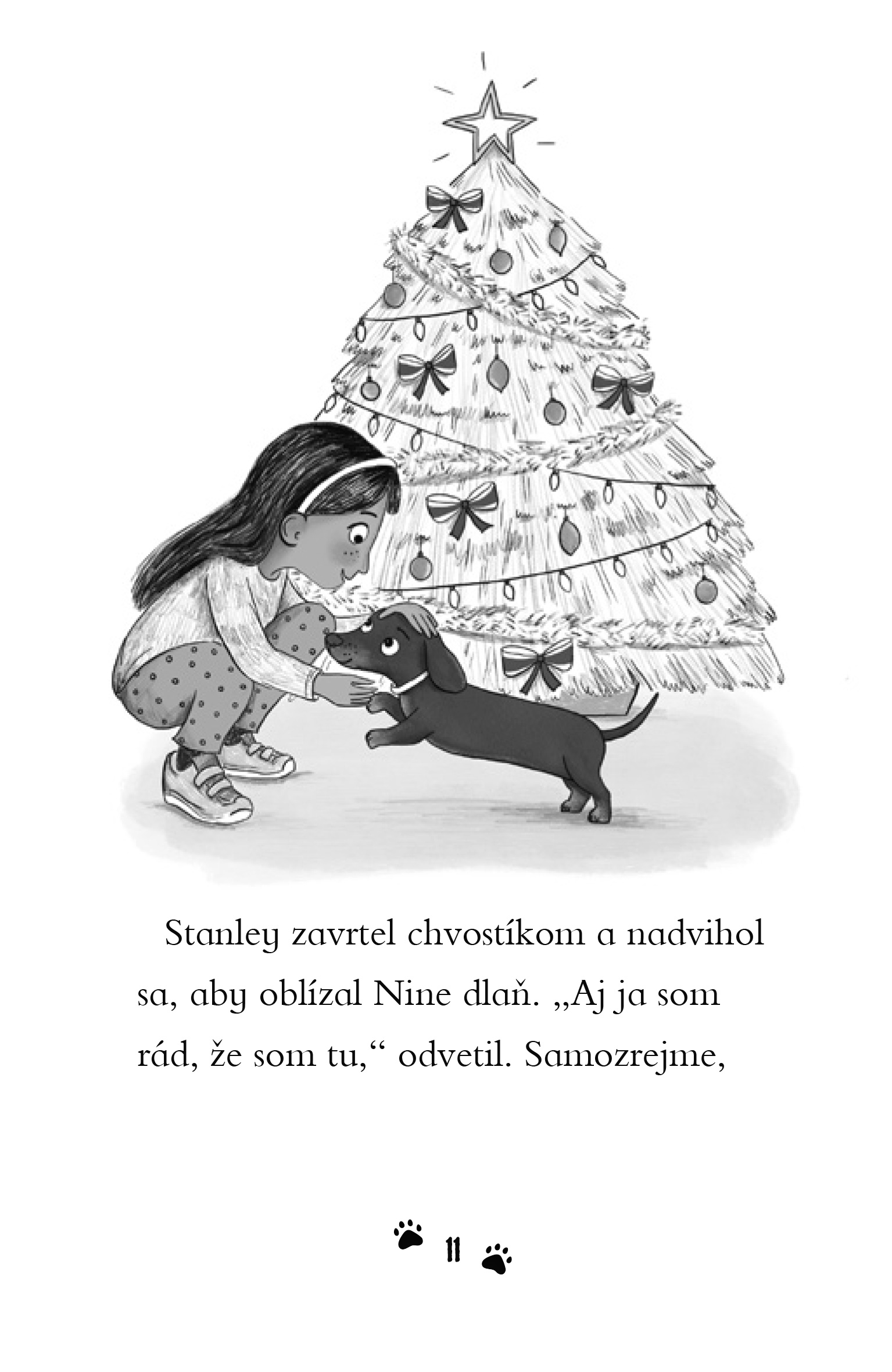 Jazvečík Santom