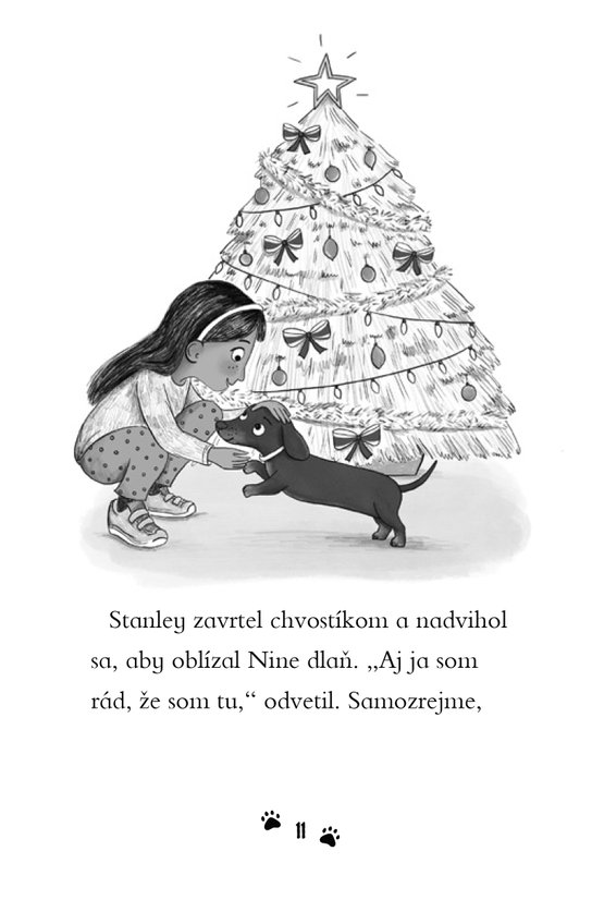 Jazvečík Santom