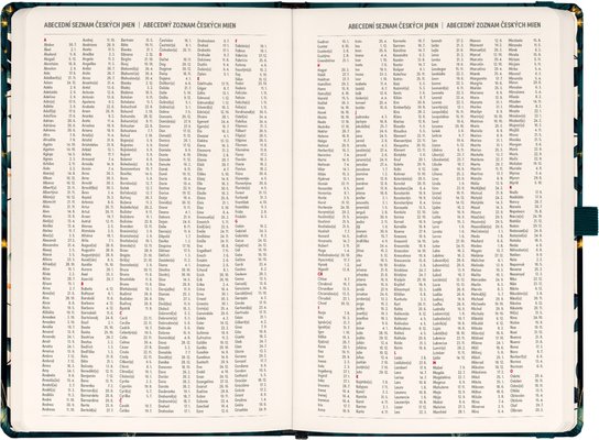 Planbook diář/notes Liška 2026
