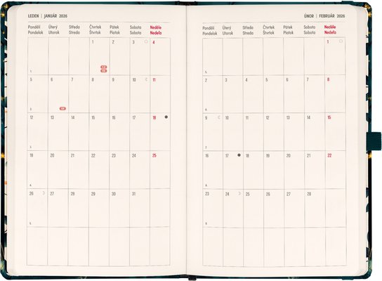 Planbook diář/notes Liška 2026