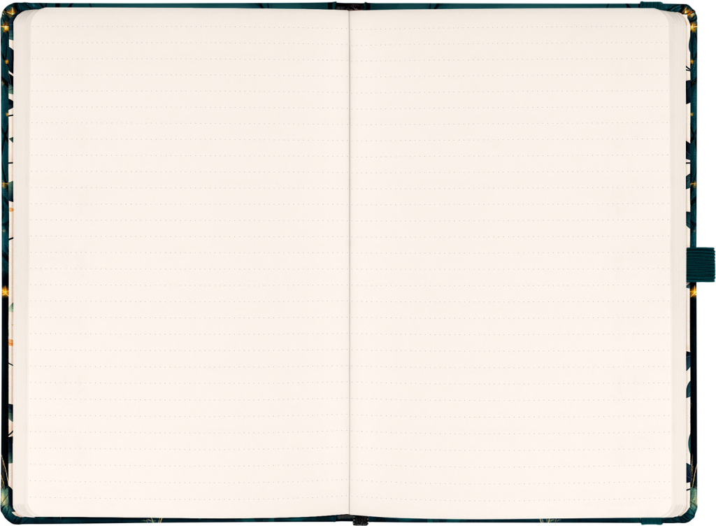 Planbook diář/notes Liška 2026