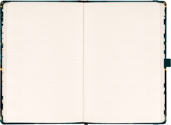 Planbook diář/notes Liška 2026