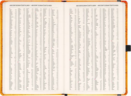 Planbook diář/notes Harry Potter 2026