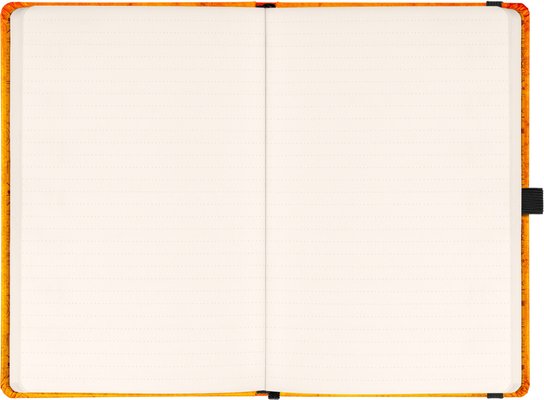 Planbook diář/notes Harry Potter 2026