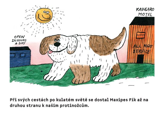 Maxipes Fík u klokanů