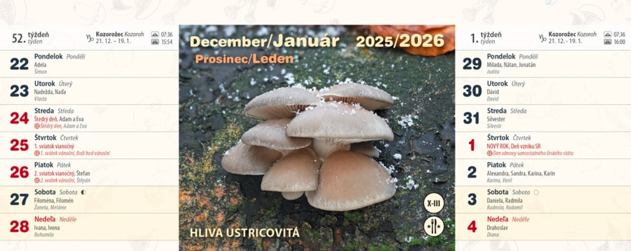 Huby 2025