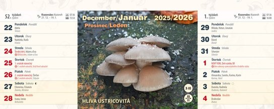 Huby 2025