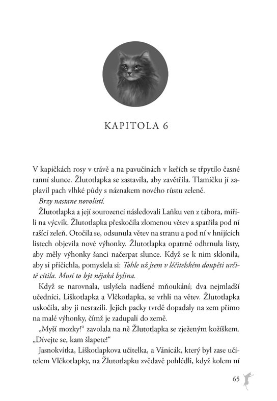 Kočičí válečníci - SUPEREDICE: Žlutozubčino tajemství