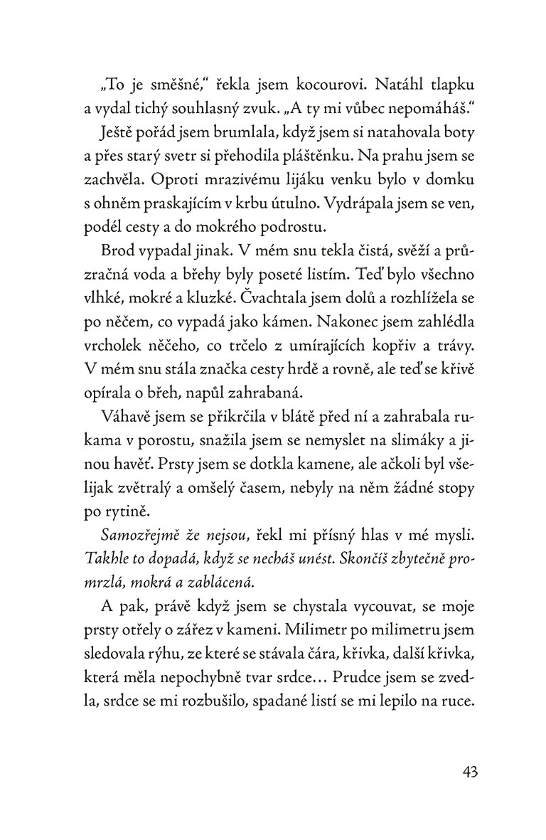 Kocour z vánočního domu