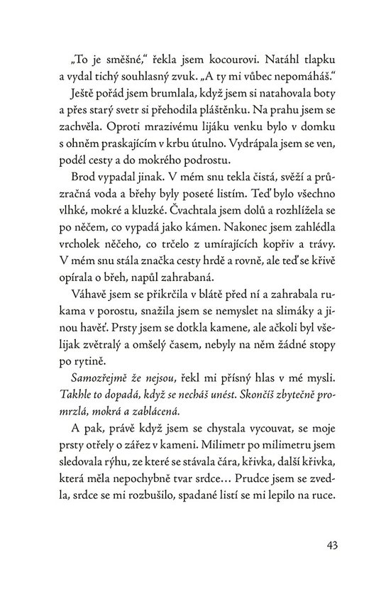Kocour z vánočního domu