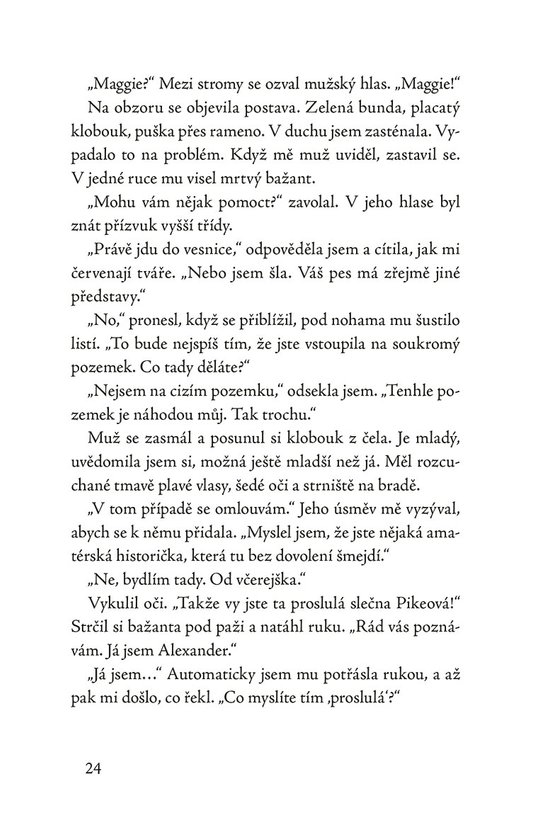 Kocour z vánočního domu