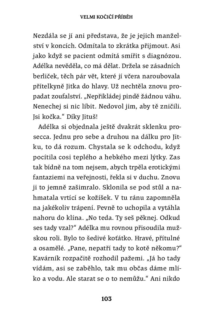 Kolik má kočka životů