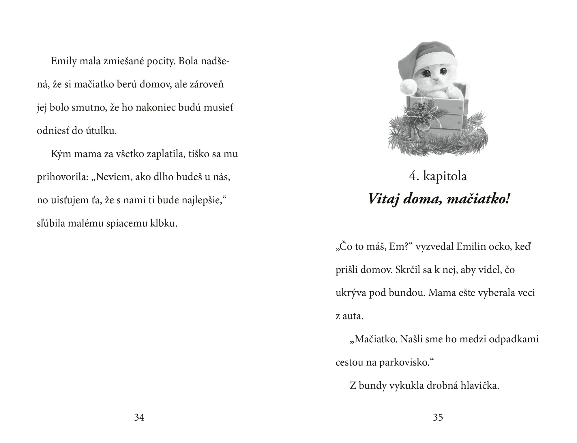 Vianočné mačiatko