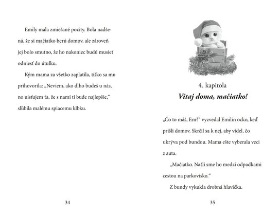 Vianočné mačiatko