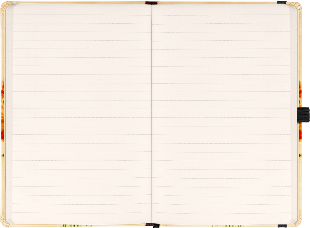 NOTIQUE Notes Máky Kateřiny Winterové