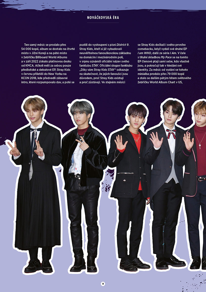 Příběh Stray Kids