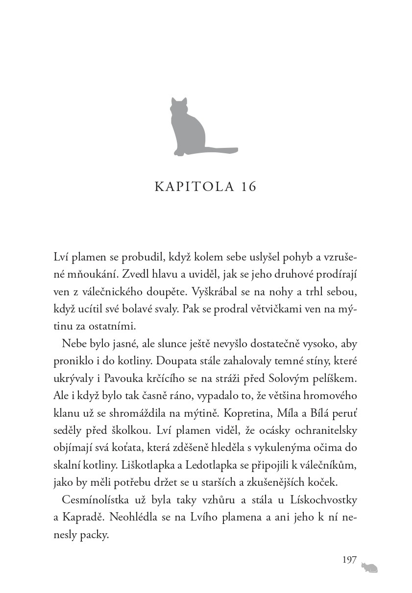 Kočičí válečníci: Síla tří (6) – Úsvit