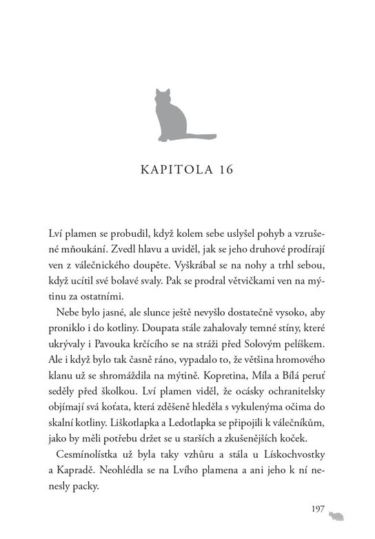 Kočičí válečníci: Síla tří (6) – Úsvit