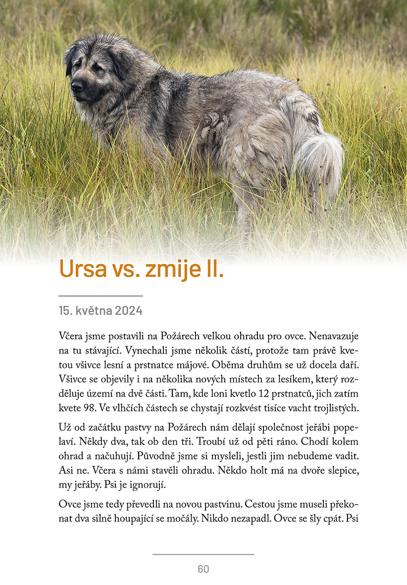 Pastevcovy zápisky 2