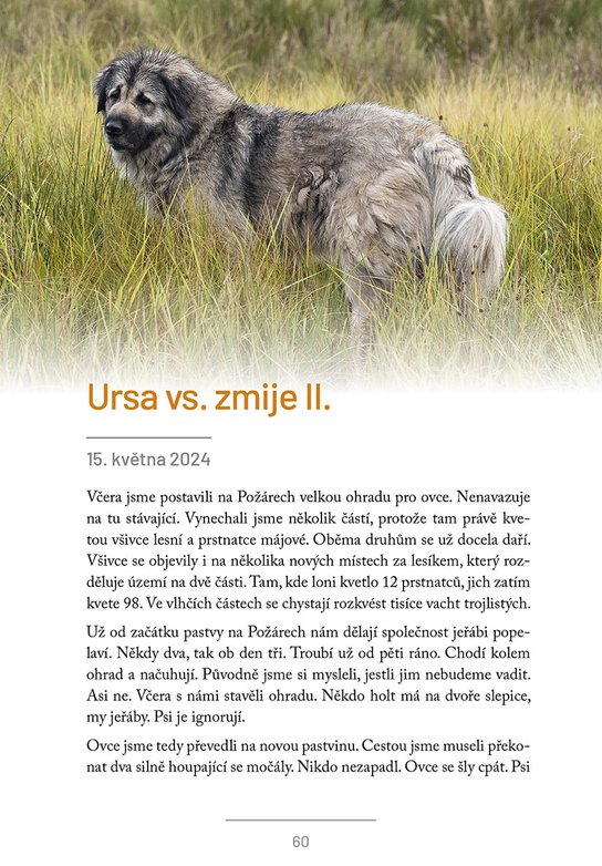 Pastevcovy zápisky 2