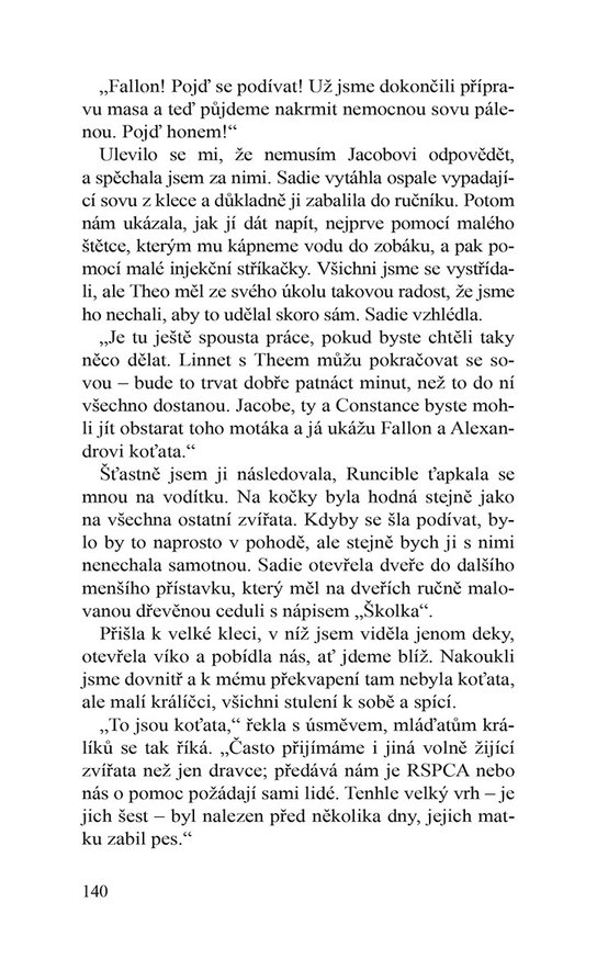Vánoce v rytířském sídle