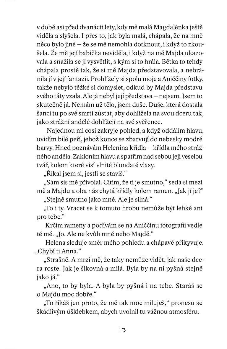 Tátova křídla