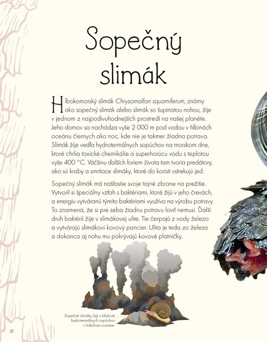 Svet vody a jeho zázraky
