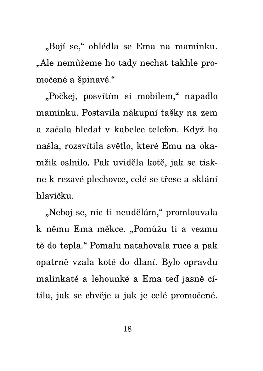 Kotě, které se ztratilo o Vánocích