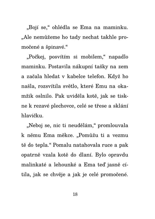 Kotě, které se ztratilo o Vánocích