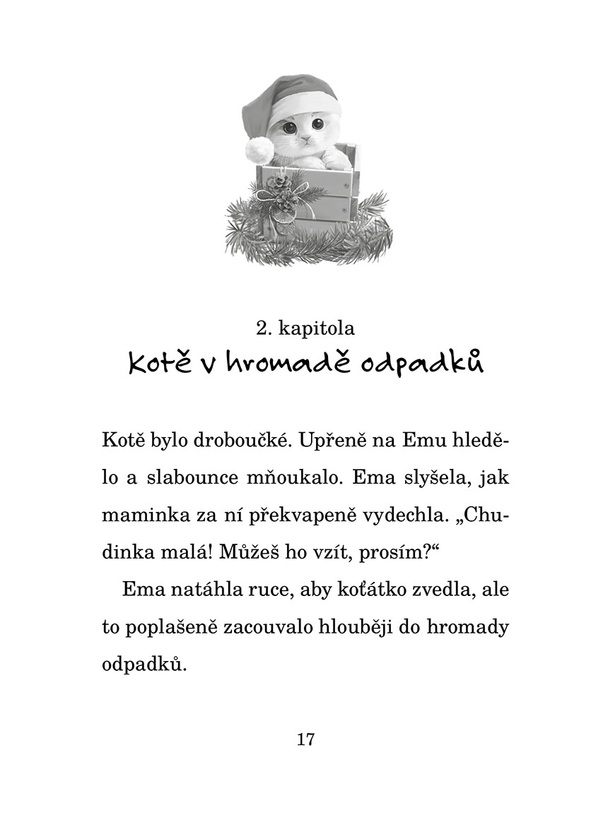 Kotě, které se ztratilo o Vánocích