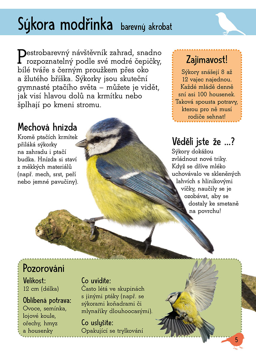 Poznáváme přírodu: Ptačí krmítko