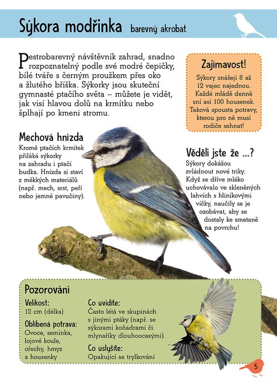 Poznáváme přírodu: Ptačí krmítko
