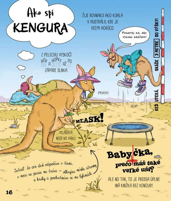 Ako zvieratá spia