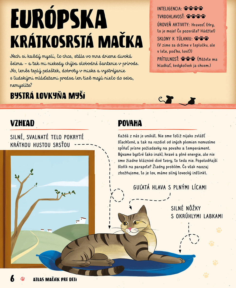 Atlas mačiek pre deti