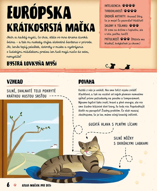 Atlas mačiek pre deti