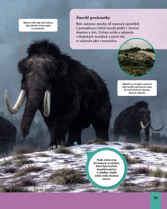 Moderní encyklopedie pro děti – Pravěká zvířata