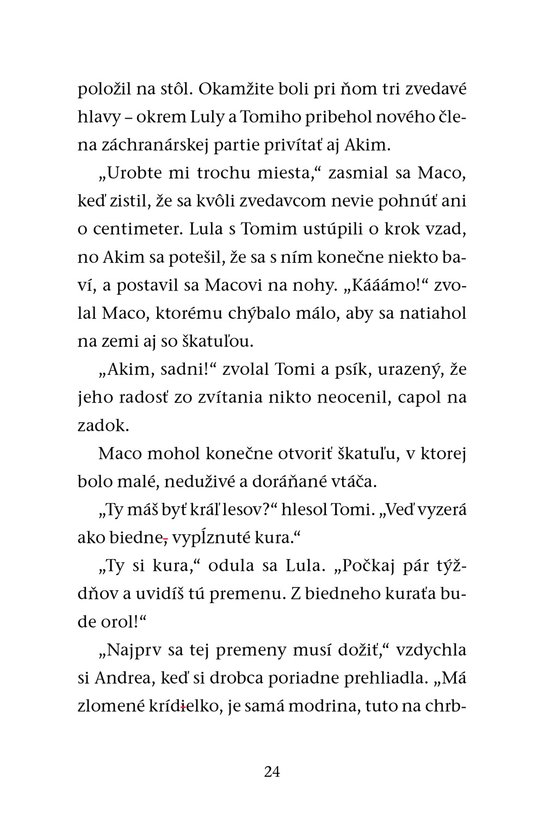 Záchranná stanica: Orol Richard
