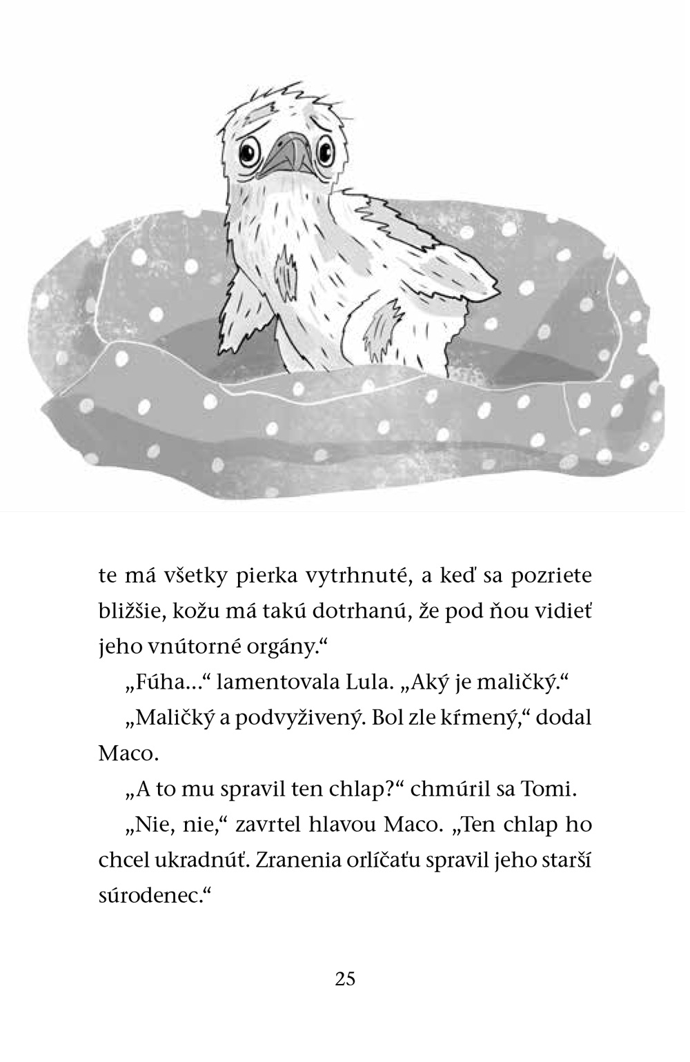 Záchranná stanica: Orol Richard