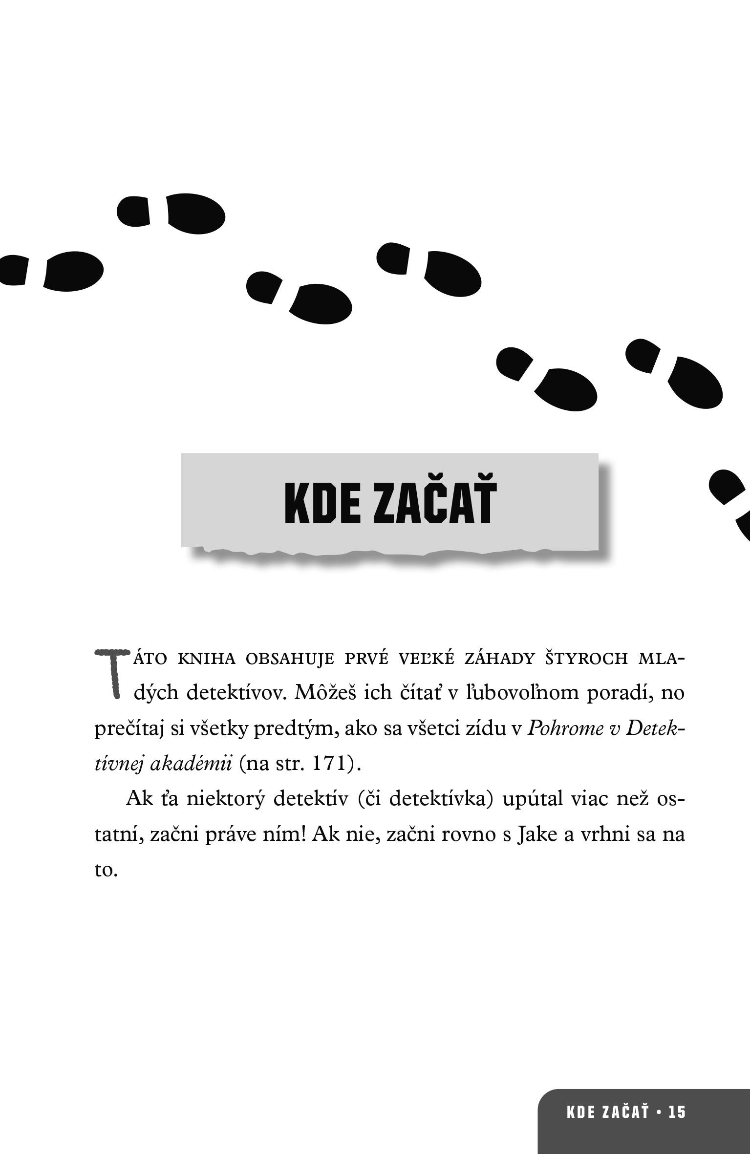 Detektív junior: Záhadné prípady pre zvedavé deti