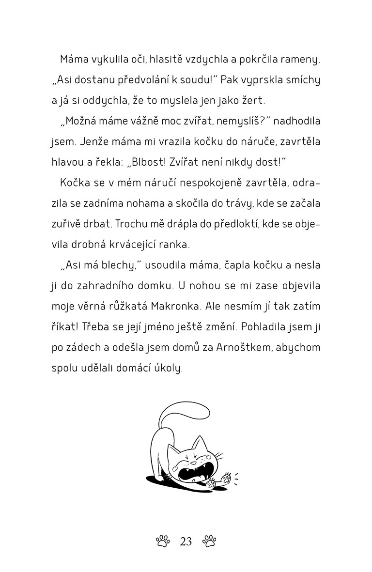 Za všechno může kočka