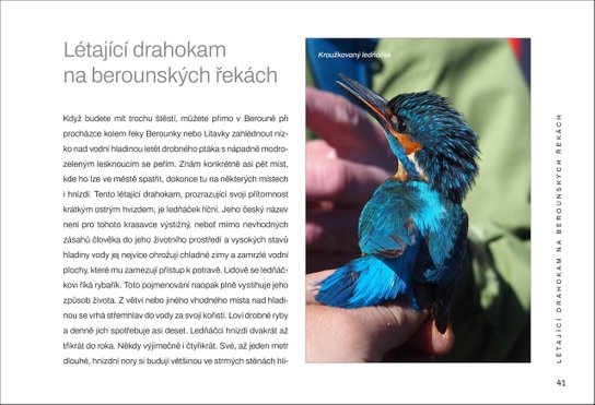 Toulky berounskou přírodou