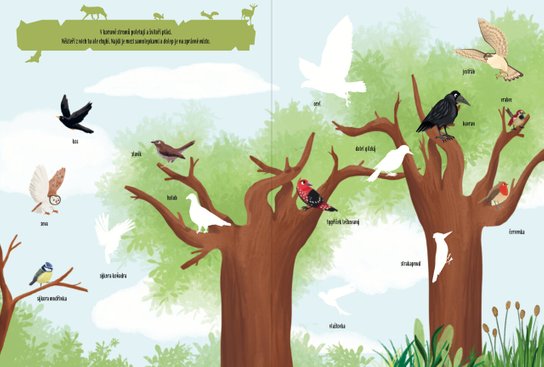 Objevuji... V lese