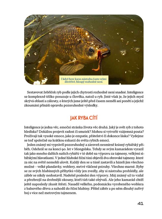 Rybaření po česku