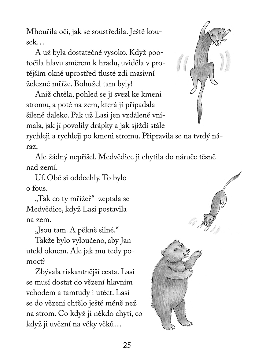Lasi a hradní záhada
