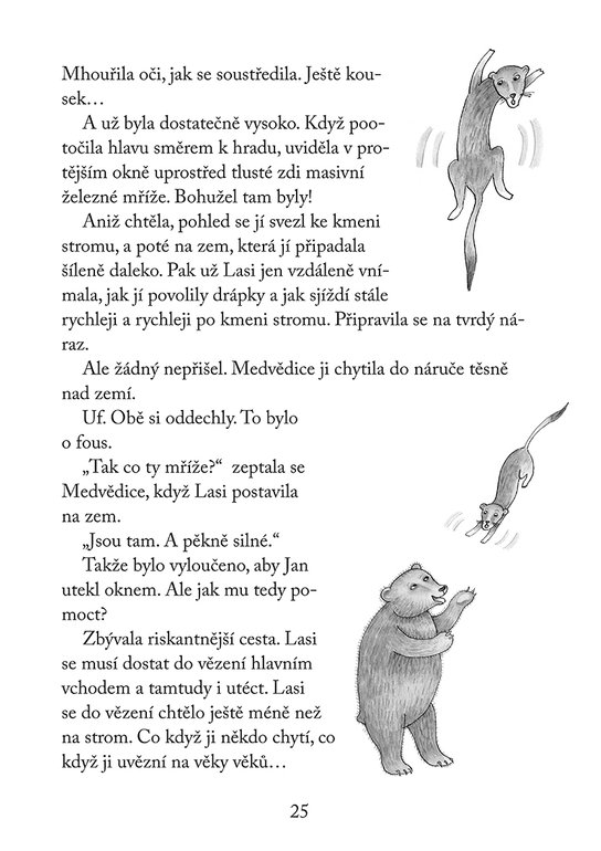 Lasi a hradní záhada