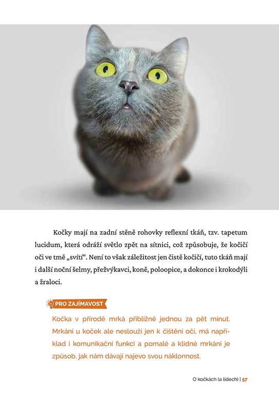 Kočky léčí