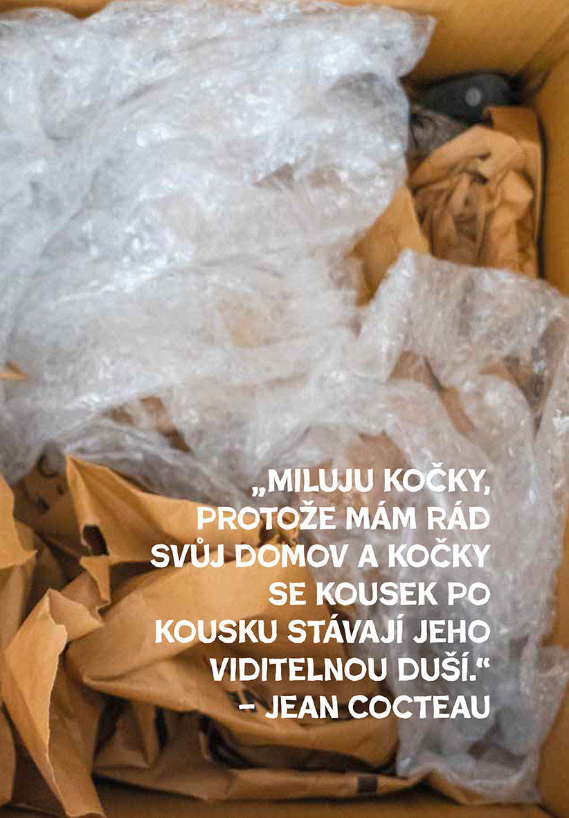 Kočky léčí